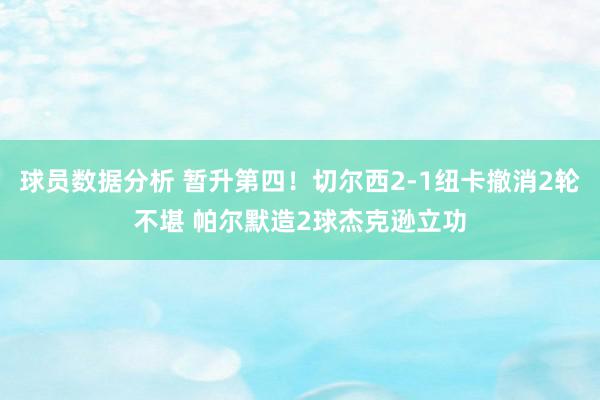 球员数据分析 暂升第四！切尔西2-1纽卡撤消2轮不堪 帕尔默造2球杰克逊立功