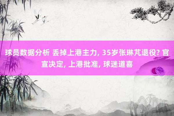 球员数据分析 丢掉上港主力, 35岁张琳芃退役? 官宣决定, 上港批准, 球迷道喜