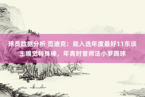 球员数据分析 范迪克：能入选年度最好11东谈主嗅觉特殊棒，年青时曾师法小罗踢球