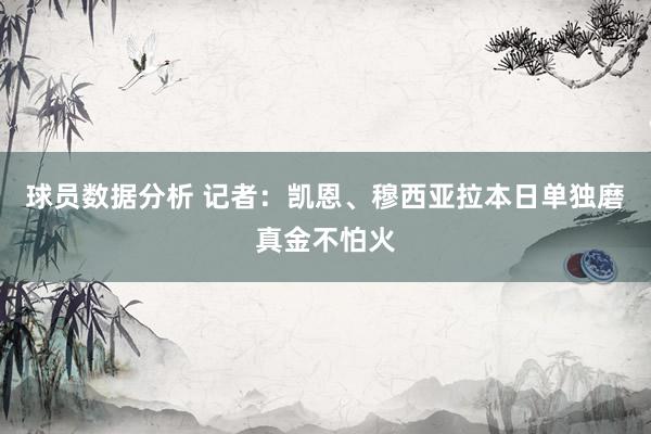 球员数据分析 记者：凯恩、穆西亚拉本日单独磨真金不怕火