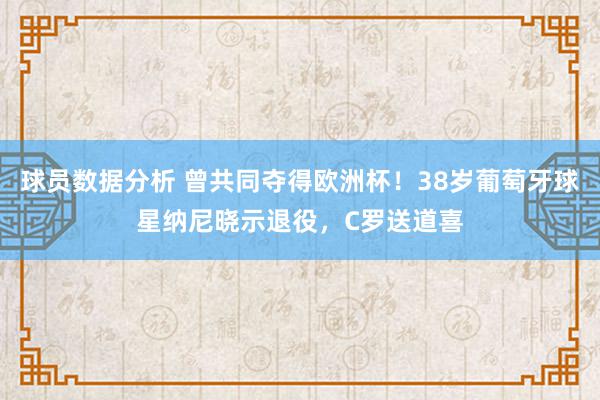 球员数据分析 曾共同夺得欧洲杯！38岁葡萄牙球星纳尼晓示退役，C罗送道喜