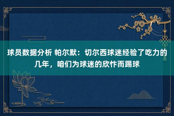 球员数据分析 帕尔默：切尔西球迷经验了吃力的几年，咱们为球迷的欣忭而踢球