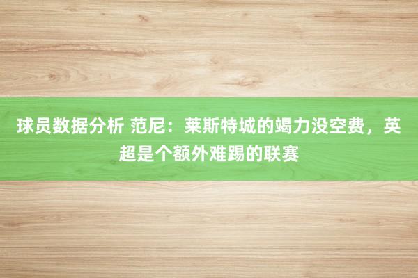 球员数据分析 范尼：莱斯特城的竭力没空费，英超是个额外难踢的联赛