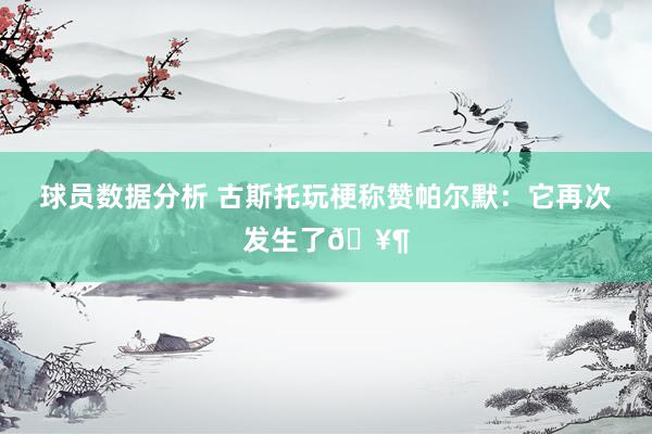 球员数据分析 古斯托玩梗称赞帕尔默：它再次发生了🥶