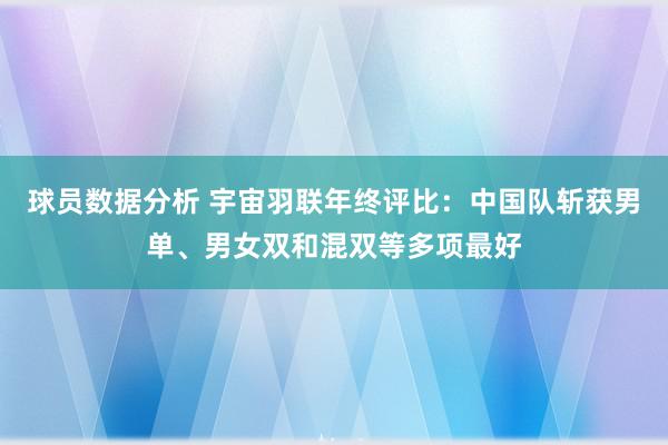 球员数据分析 宇宙羽联年终评比：中国队斩获男单、男女双和混双等多项最好